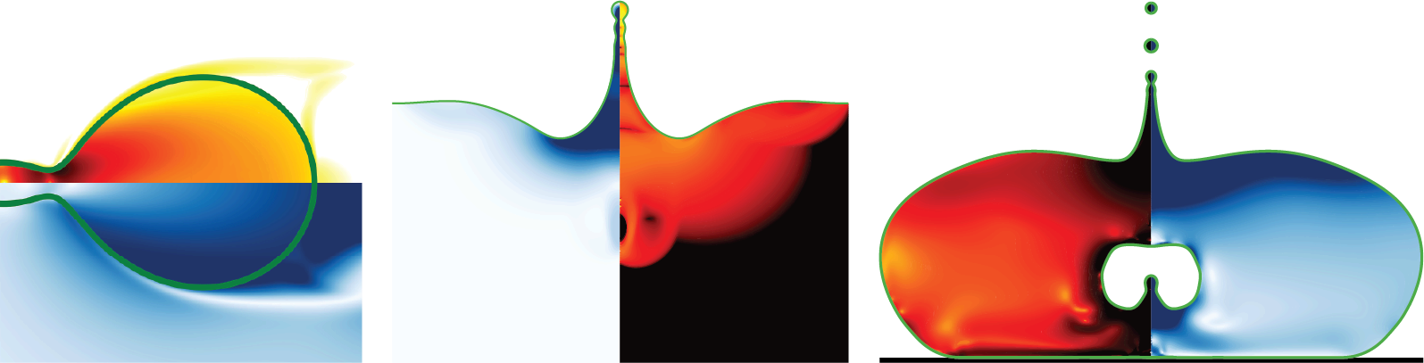 How do polymeric flows influence classical hydrodynamic singularities?
