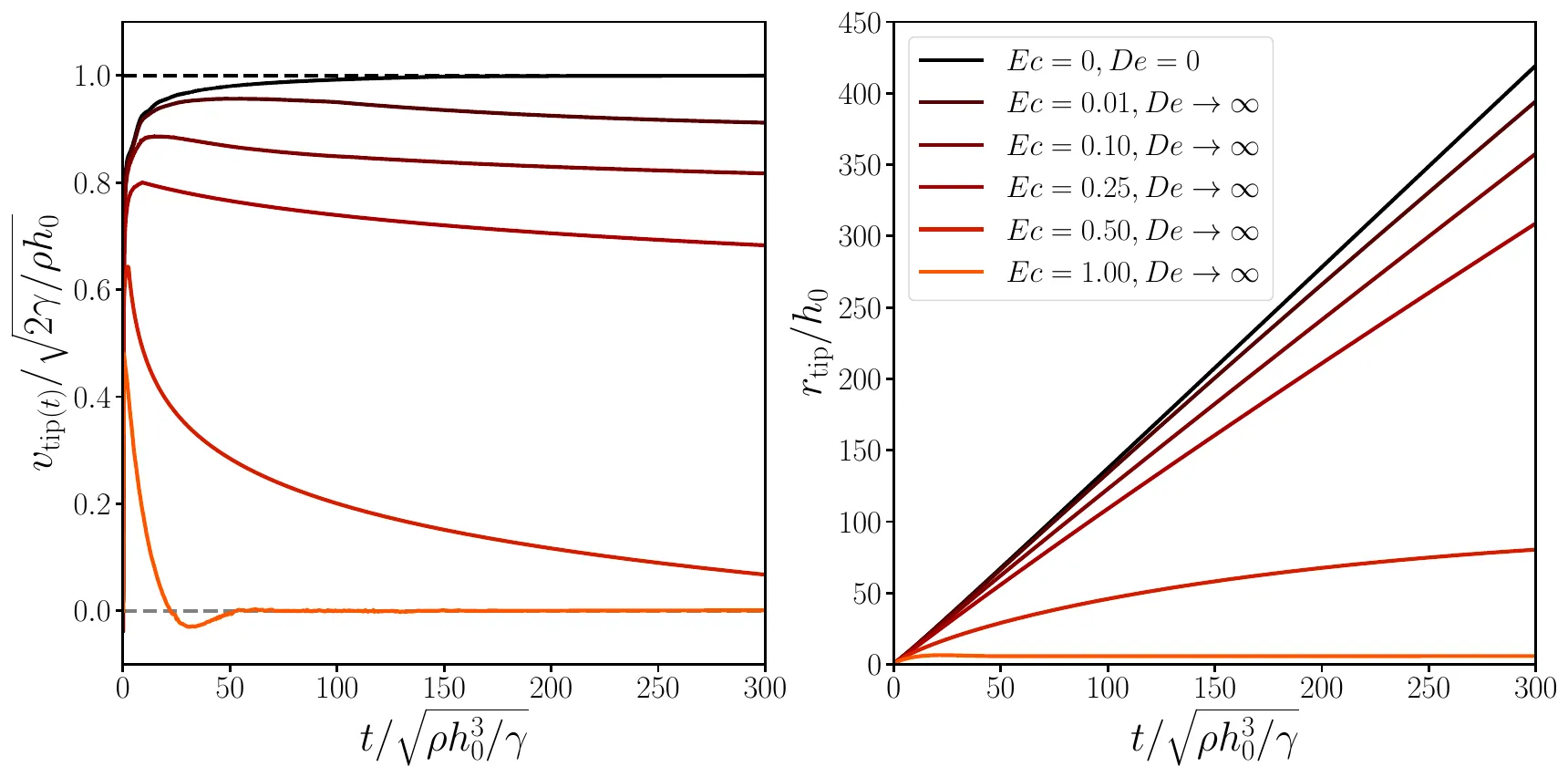 Two panels against time in units of the inertio-capillary time. Left: tip speed divided by the Taylor–Culick speed; the Newtonian case rises to one, the elastic cases peak below one and then slow down, more strongly at larger Ec, and the Ec = 1 case drops to zero. Right: hole radius divided by the film thickness; the Newtonian case grows linearly to about 420, and the elastic cases grow more slowly, with Ec = 1 stopping near 6
