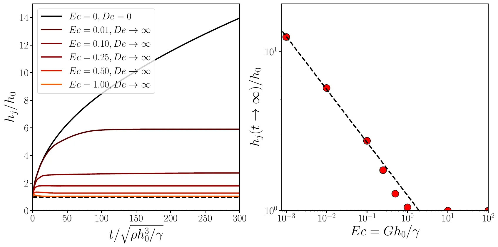 Two panels. Left: rim thickness divided by the film thickness against time; the Newtonian rim keeps thickening to about 14 film thicknesses, while elastic rims level off at values that decrease with Ec. Right: final rim thickness against Ec on logarithmic axes; the points follow a dashed line of slope minus one third up to Ec of about 0.1 and approach one for Ec of order one and above